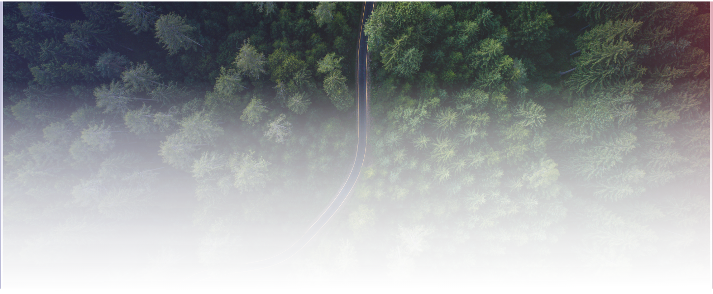 a road that runs in the middle of a trees