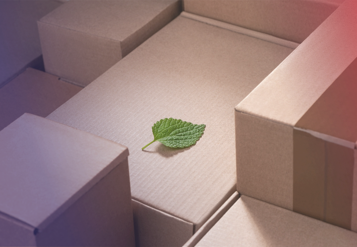 A green leaf lies on a package