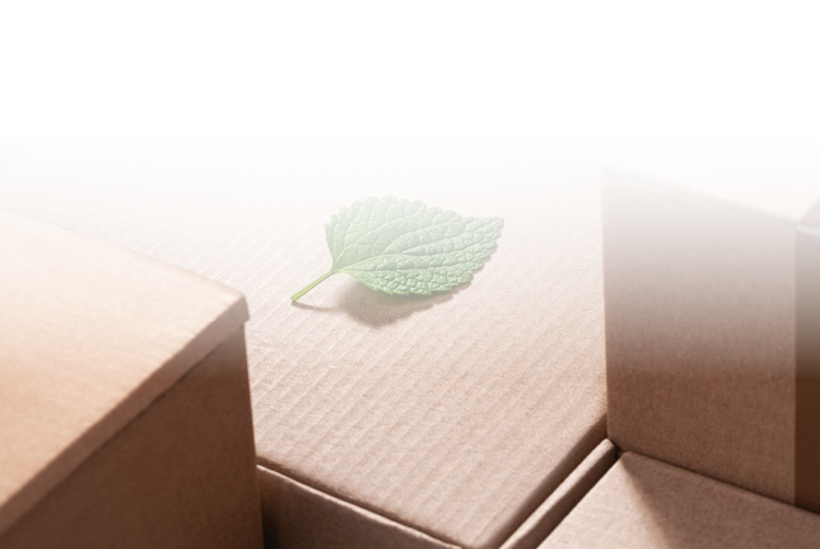 A green leaf rests on packages