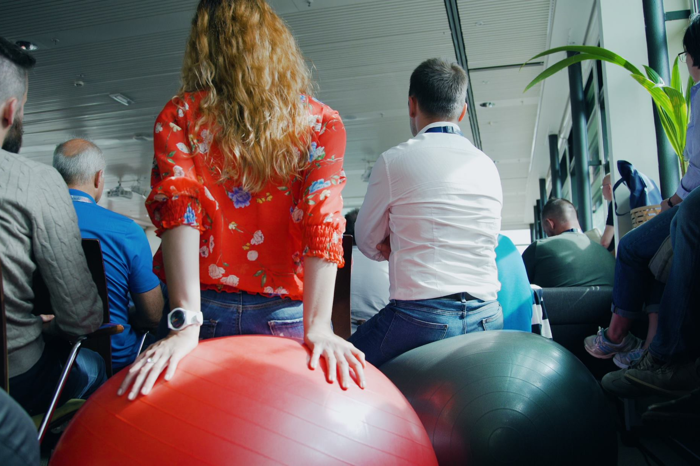 View of people friom behind sitting on pilates balls