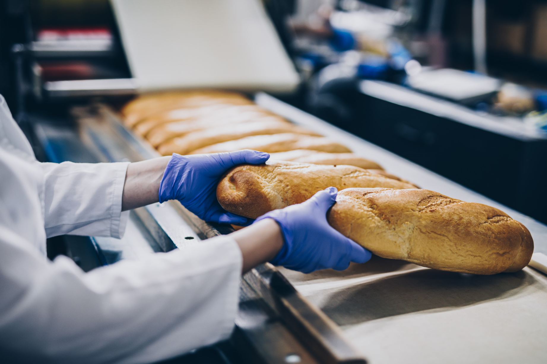 baker working at the bread production line